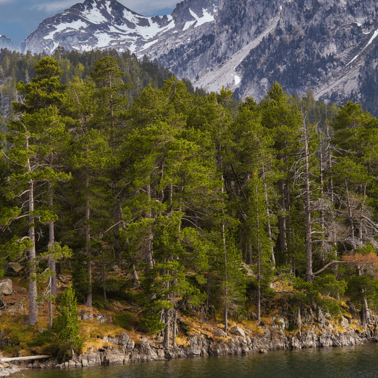 Aigüestortes