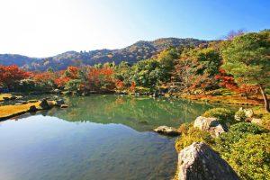 Kyoto: Immersive Arashiyama & Fushimi Inari by Private Car